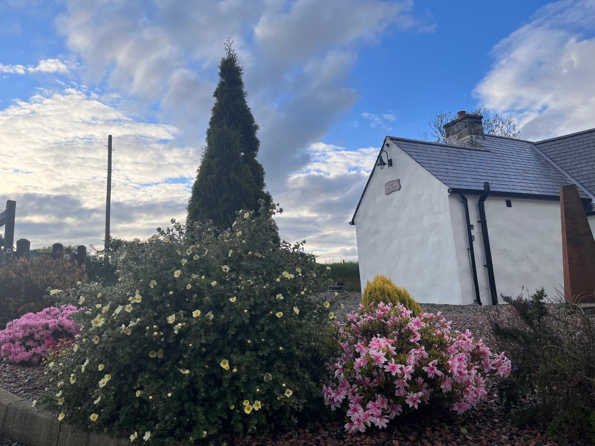 Dans Wee Cottage Slieve Croob Dromara Castlewellan Newcastle Екстериор снимка